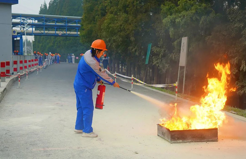 1700010759199343.jpg 8.jpg